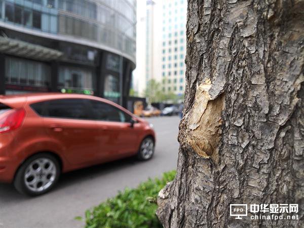 ڵƯPRO 6uyo̰СŞ