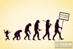 從達爾文的進化論，看國產手機廠商誰能適者生存
