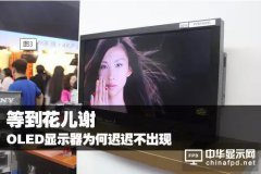 OLED成熟度不足，恐難迎來“LED式”大爆發