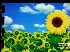 SZɹc4.3AMOLED@ʾ