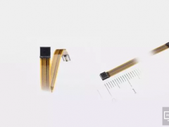 СH2mm0.1g