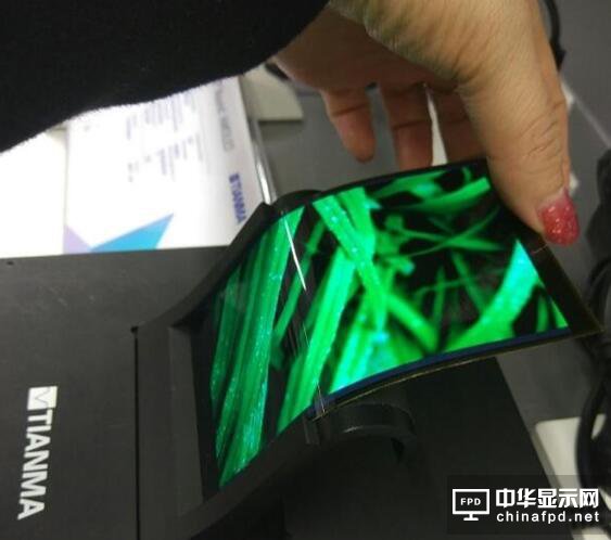 天馬威武！國產OLED柔性屏公開展出