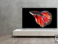 OLED+űȼg LlCHiQҕƷ