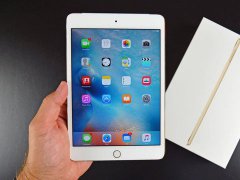 OLEDl߀IiPad miniȫ̭