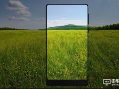 tPro 2@ʾҎ(gu)ع Xplay 6ͬpz