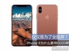 ȫLҵĕr  OiPhone 8һҪOLEDĻ