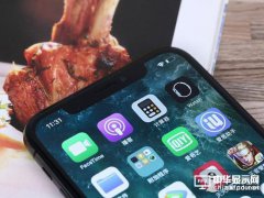 r(ji)iPhoneXϢع⣺OձLCD